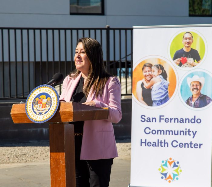 Medicaid Funding San Fernando Valley The Localized Impact on Los Angeles County