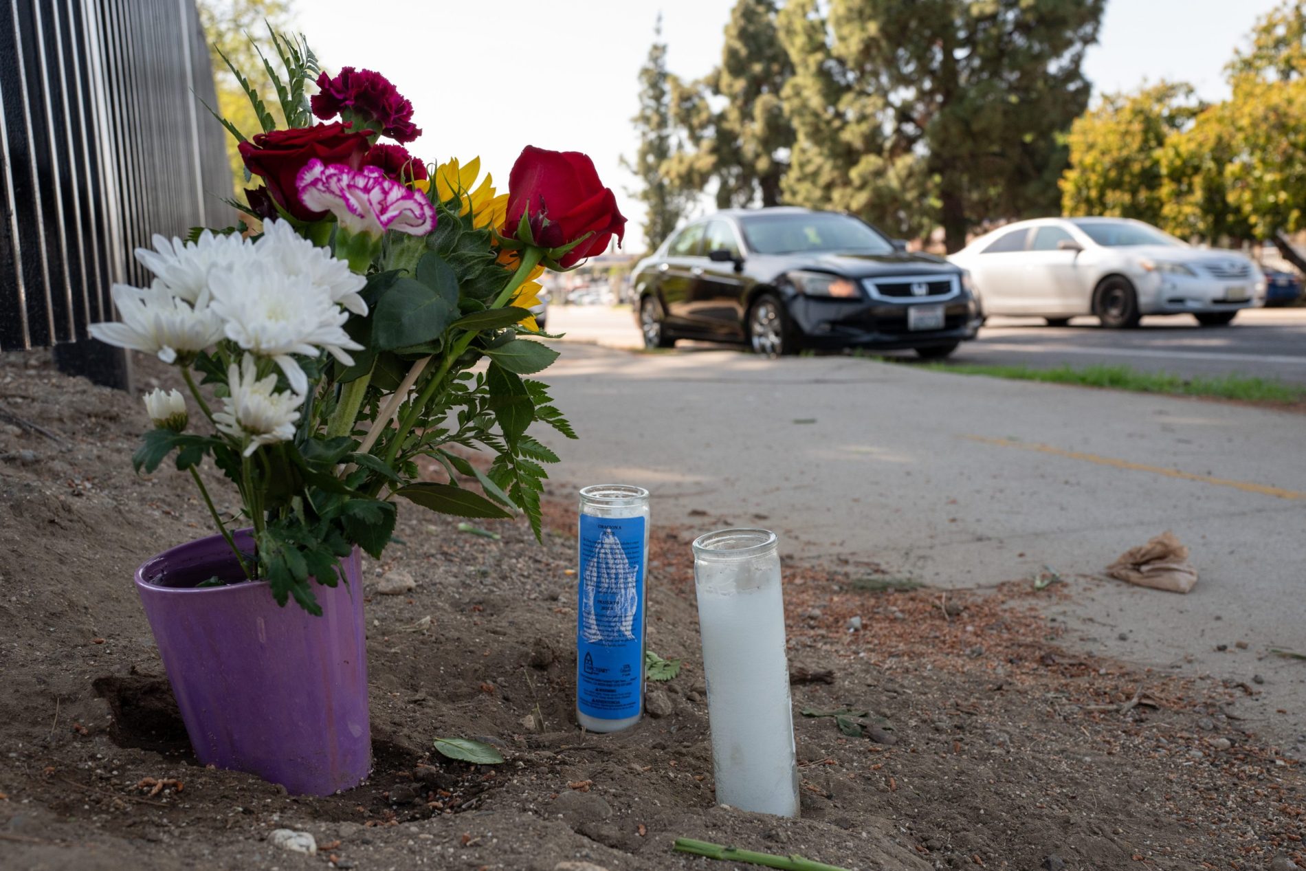 Police Seek Help Locating Driver Responsible For Fatal Hit-and-Run in ...